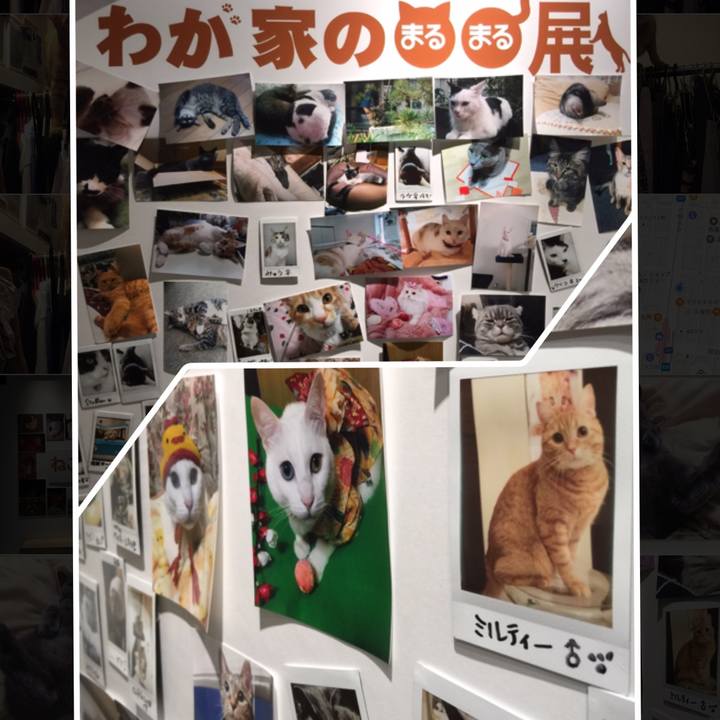 7e73cf0c 9c63 4983 a64e c158f6faf72c