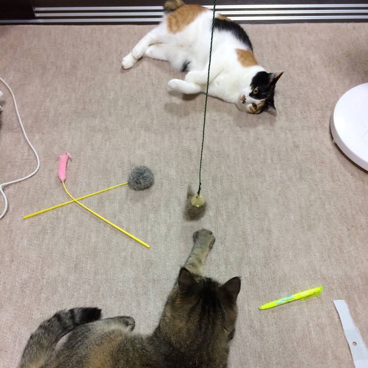 7e73d37b 3aee 4faa 87dd 0f6272ee65c5