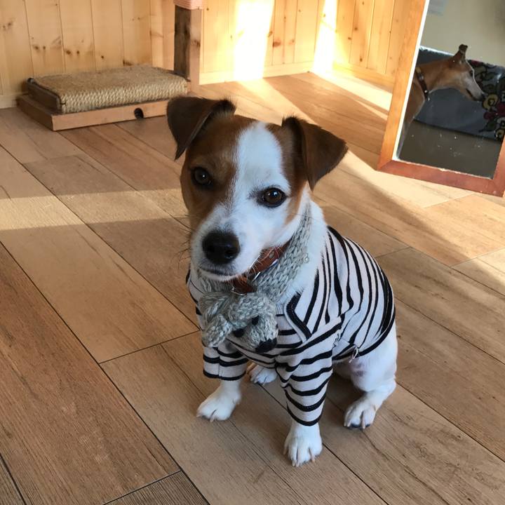 7e73d648 3956 45b8 8211 2f947f171476