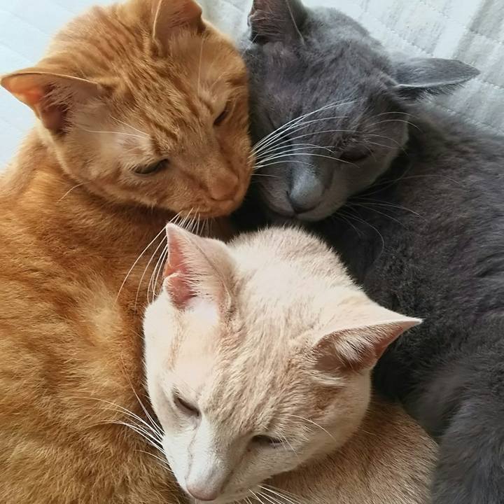 7e73e0cf 9e69 4bee afb8 793c0270c42d