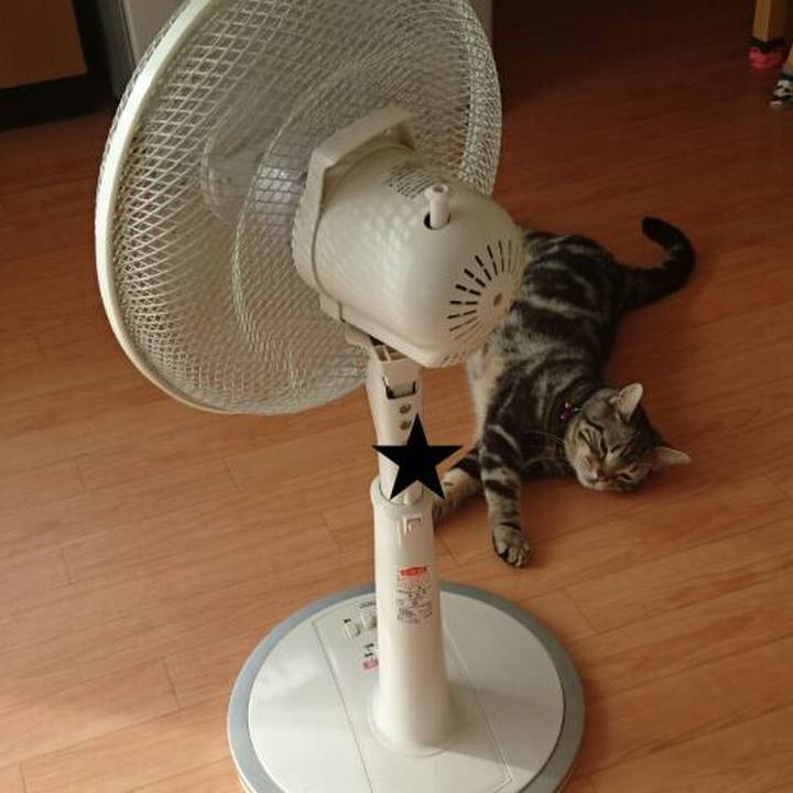 7e7456fe 0019 46c3 997c 81827e4f709f