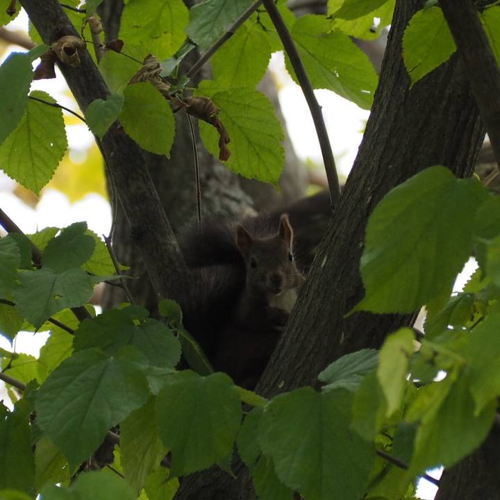 7e7493c7 c8a4 4fa3 87eb a22c79c19400