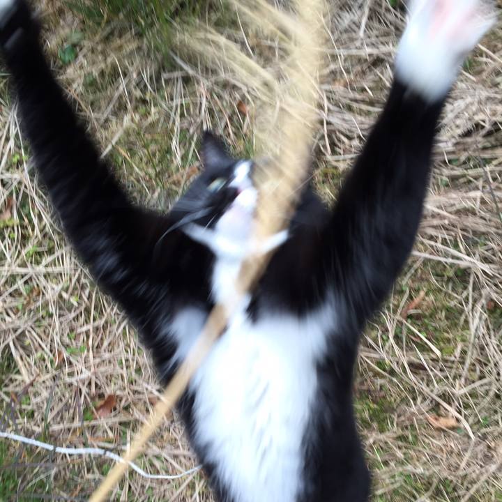 7e74f215 a654 4611 beb1 9fb4f0f8a03e