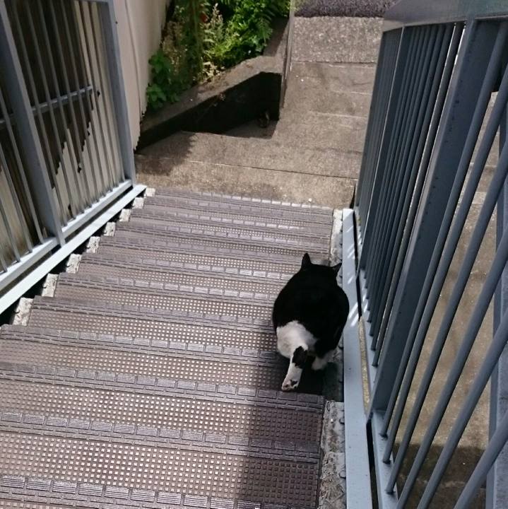 7e757a99 1659 47d6 95f7 13df578bcbaf