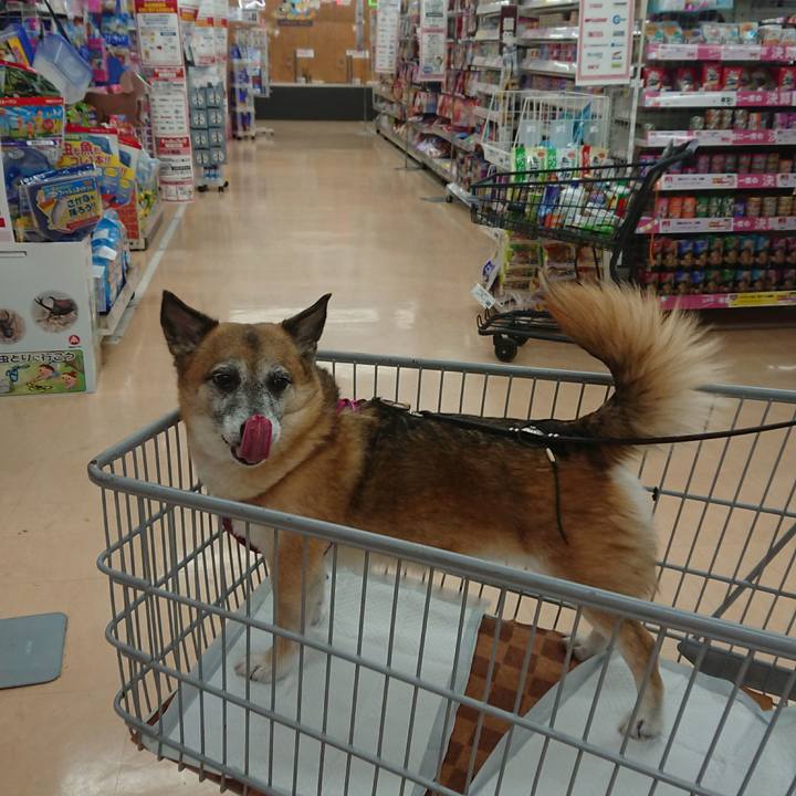 7e75b486 ff5b 48f2 a2b4 ba077f0e1b55