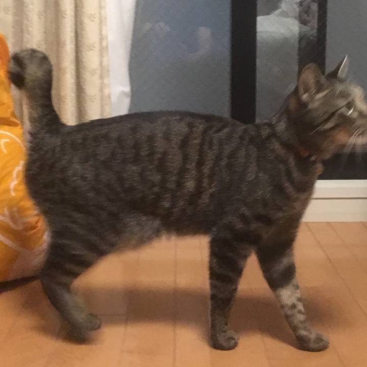 7e761fe9 418b 4622 a0ae f2cdc9edbe72