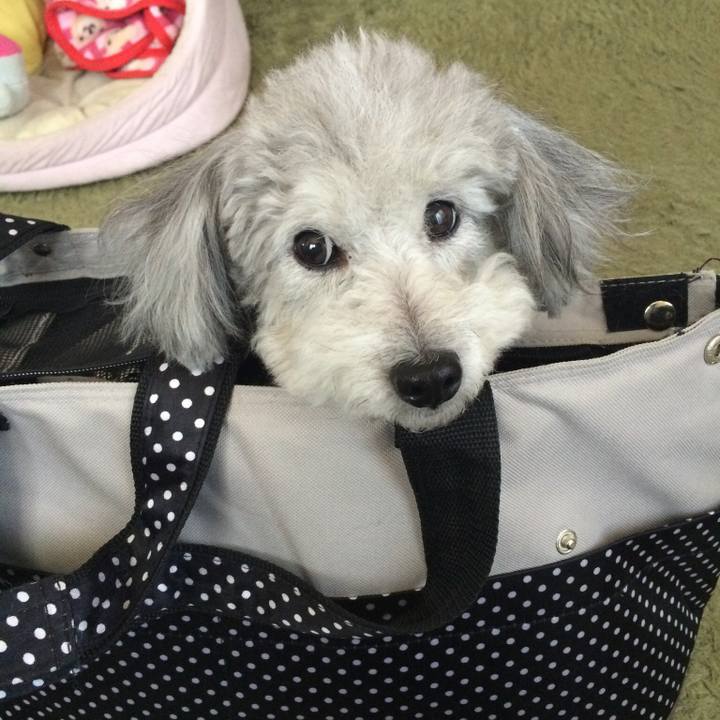 7e7627cd 9b91 49c3 acc2 a0b9b021967a