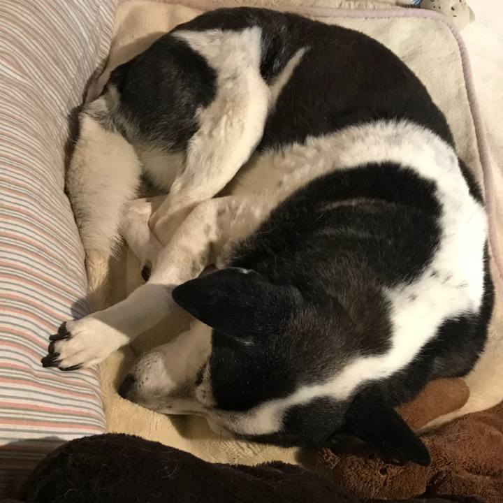 7e76f39f dbf3 418a a05f 9c13c53a9ba7