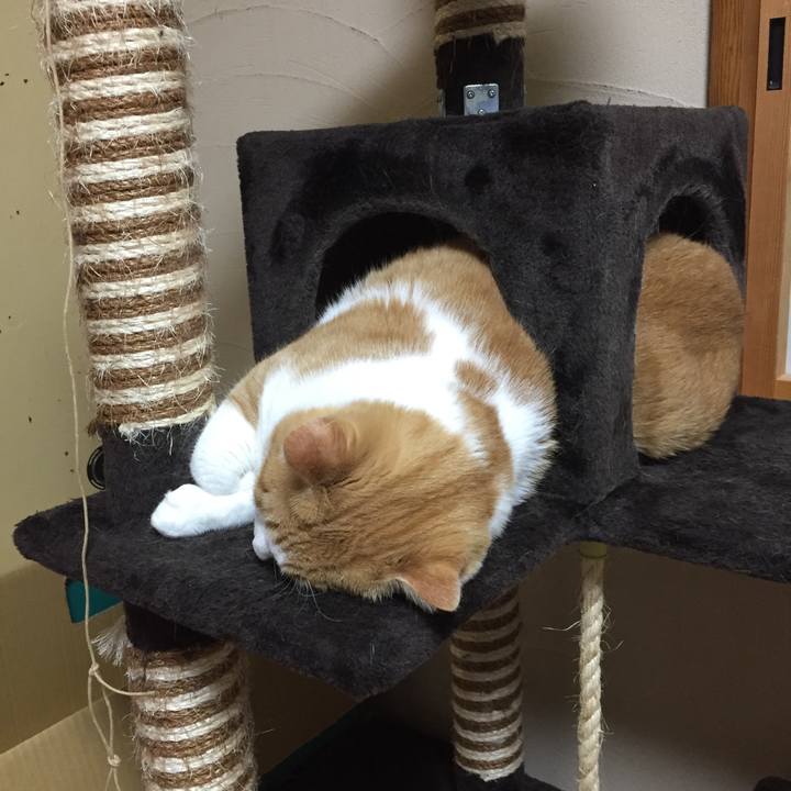 7e771a0d 514b 45da 934a 132b06c8c61f