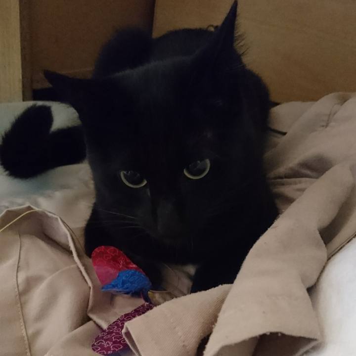 7e7736e4 97f8 4744 ba1e a732598e5ffc