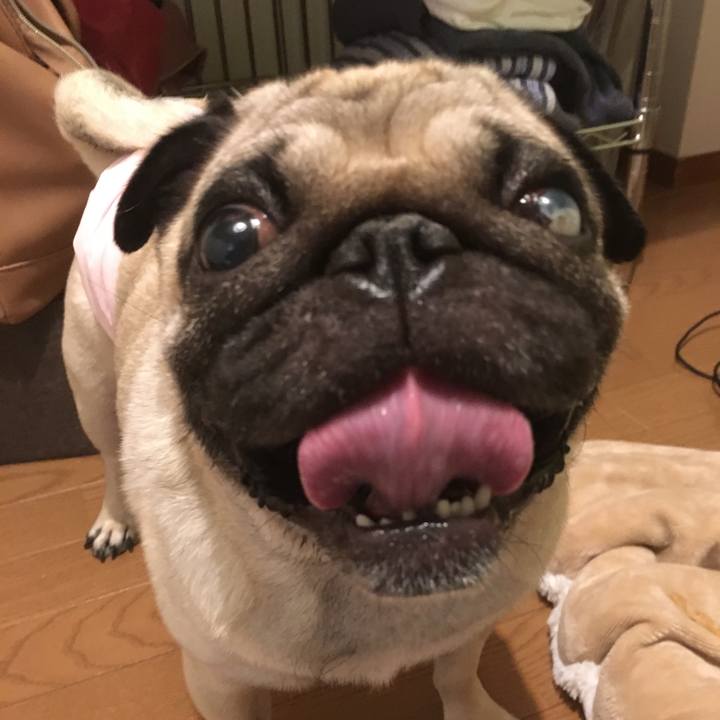 7e779d5d eb71 49b4 a4b5 d64d256db525