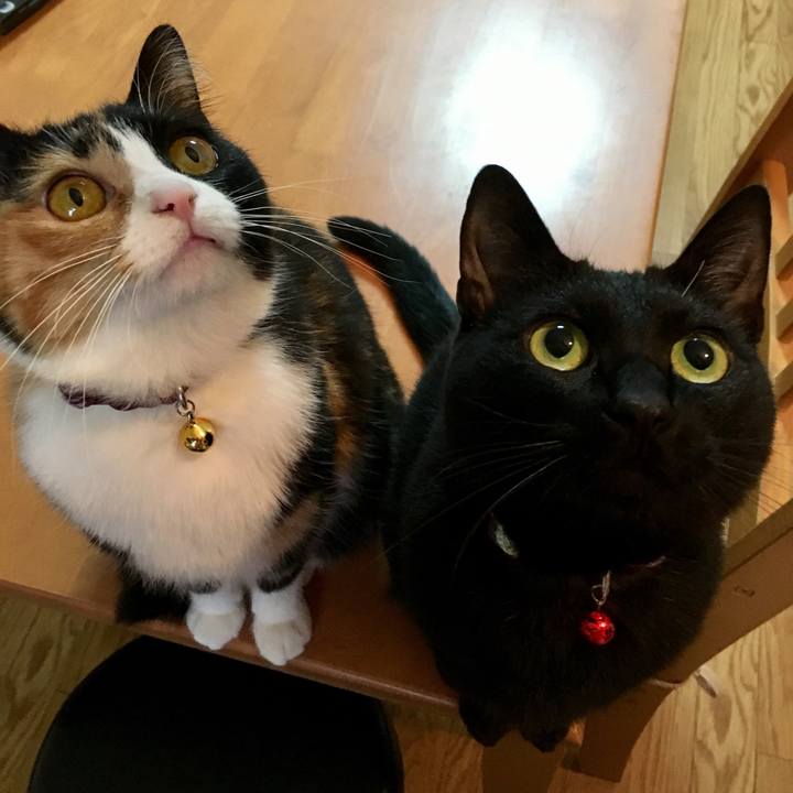 7e7806f0 e8cb 4e7b b3fe 54ed4d1ddb29