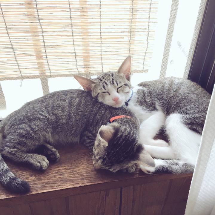 7e78088c a342 45f1 9cf9 6eea05451805