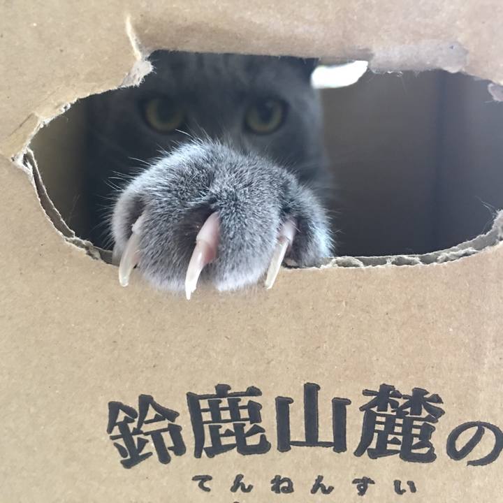 7e7809a4 019d 428d 9f0f 91f47cd08c6c