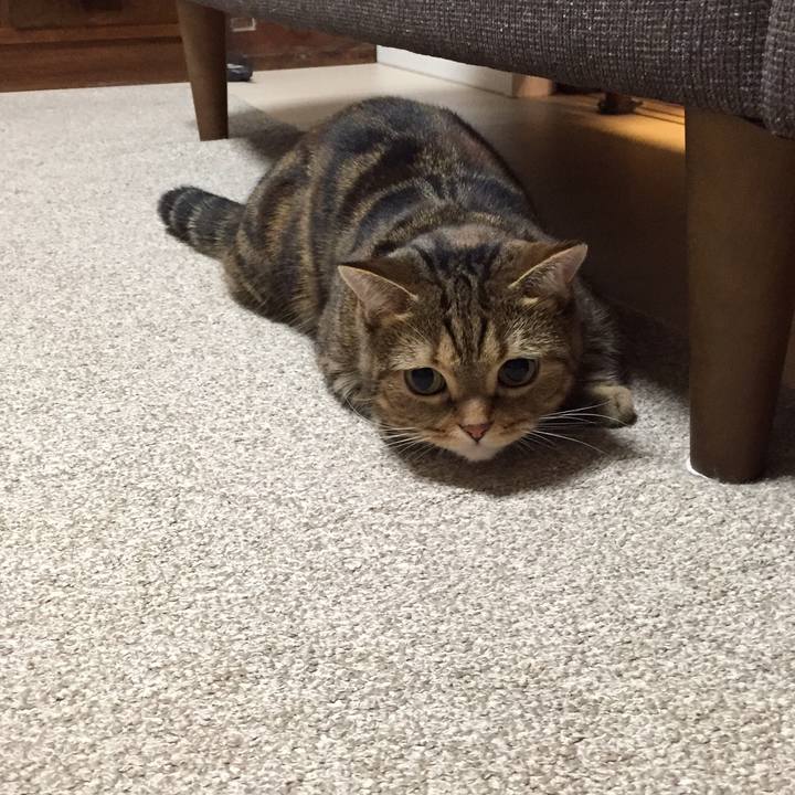 7e781c84 163b 41aa 8fe0 561c12f6a966