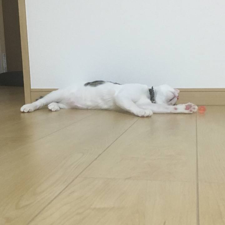 7e78265f 2e24 43bf 8ecf e687678e56ed