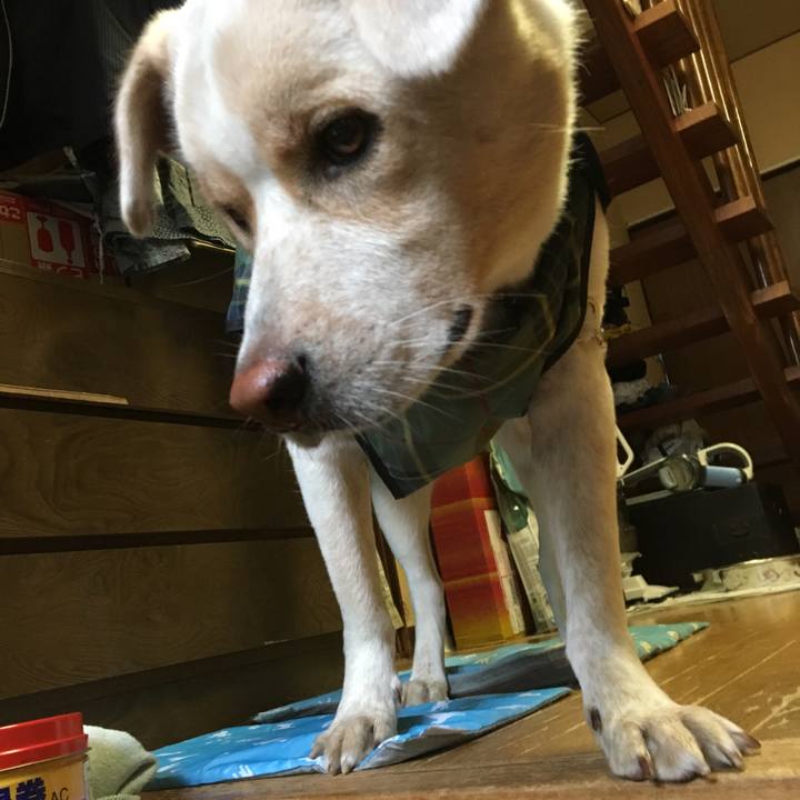 7e7880ff 2937 4f13 b429 0d5d62869ee2