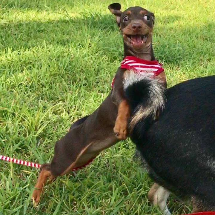 7e78a992 81b2 4fa4 80b6 1d51b2568e4a