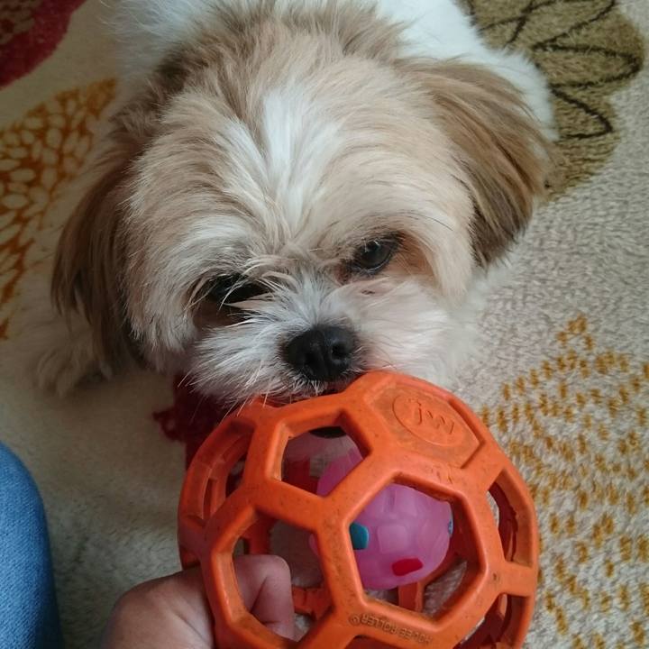 7e791d51 22f9 4873 964c 71713000d4fb