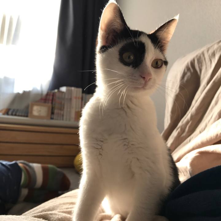 7e7964ca e4fe 42e3 94a9 15f7c6b86235