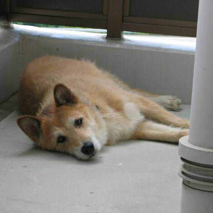 7e799e39 4361 4b51 9a78 c92aa61994f2