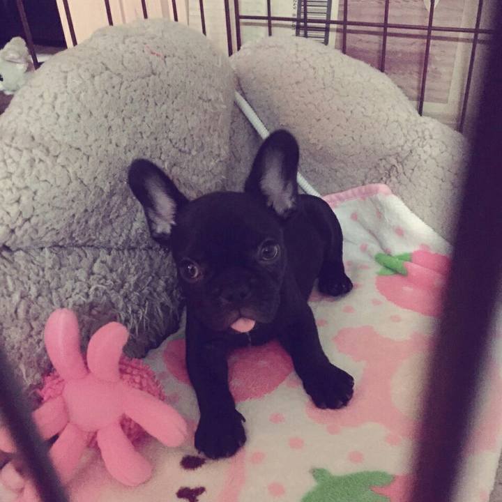 7e7a00fb 0ff5 4855 97c1 e24c23c564eb