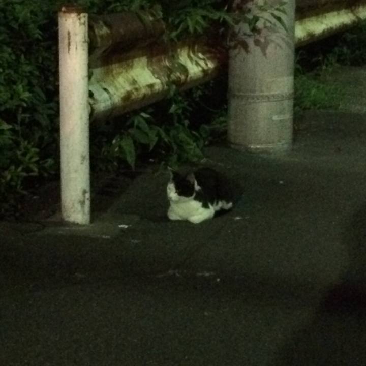 7e7a1720 baff 48b8 a23b 4df731d486ed