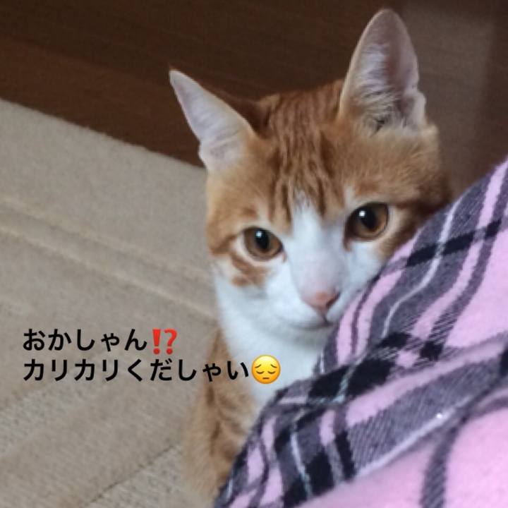 7e7a6343 7984 4bf5 a2cf 686ff2f95bb2