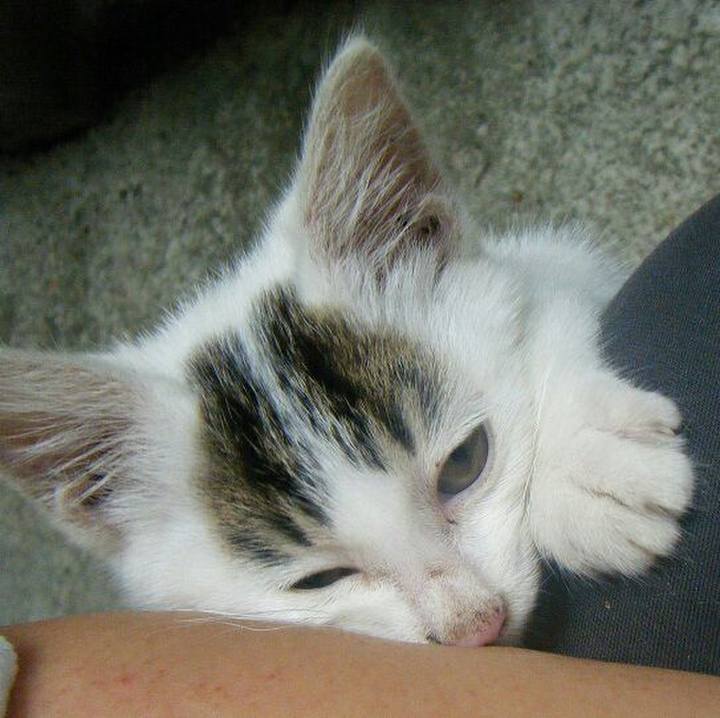 7e7aa00f 419c 44d9 bf0f 0a47fa80c184