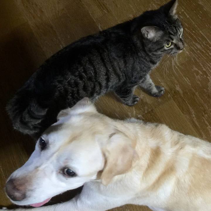 7e7aed90 ab06 42b7 a9a0 e1dbc1148323