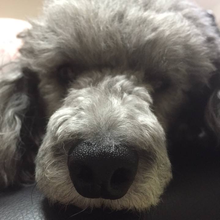 7e7b02f2 9c5b 4298 8834 9d1b610750e3