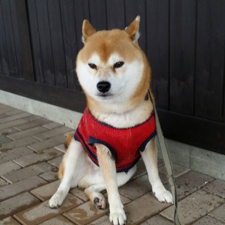 7e7b26ad c1c1 45f9 b54f 10bf49d77d31