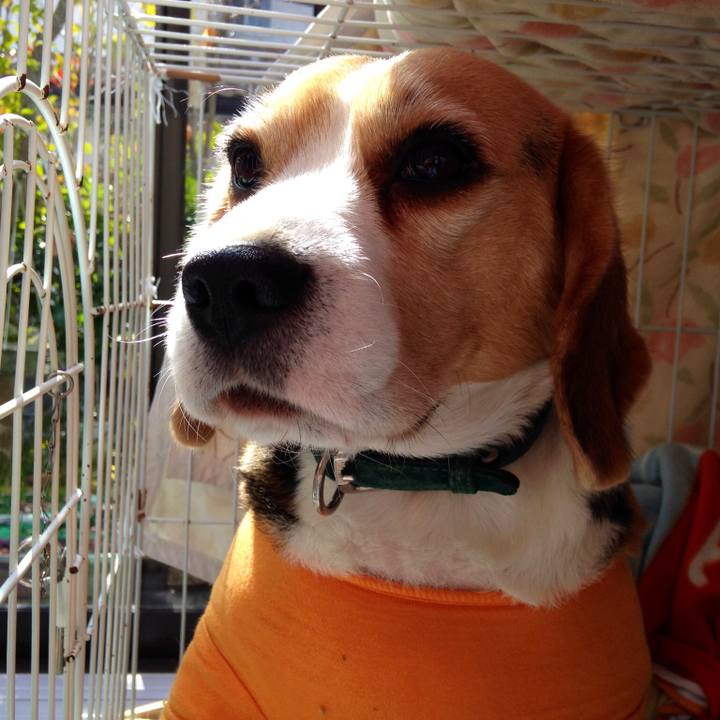 7e7b3e5e 7980 4866 b49a 716c2c924ea1