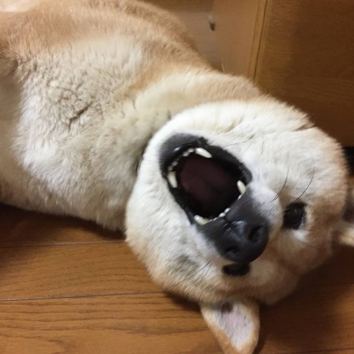 7e7b67ae 2064 4ee5 bc6d 73880a4688b4