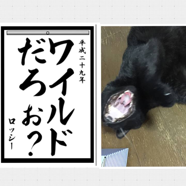 7e7b843b 32ff 4d4d b92a 8cd33ca5af6e