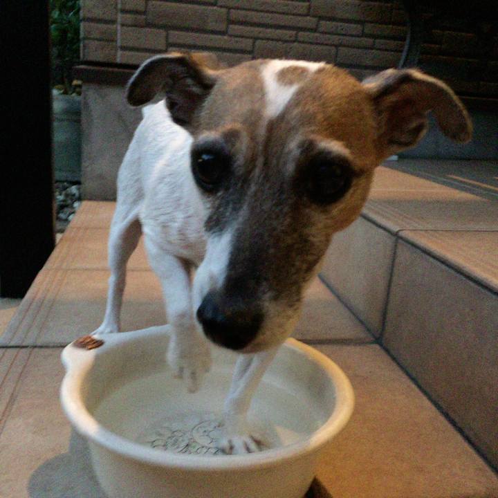 7e7b8ed2 e1e2 4dae ad03 3c2e8aeea662