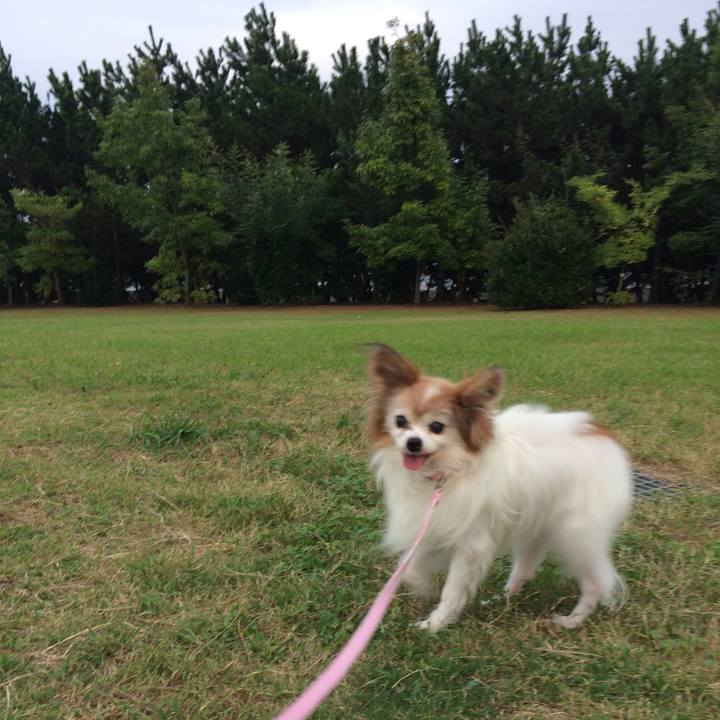 7e7c23c4 ea16 4c55 b2fa 1d907717d5e8