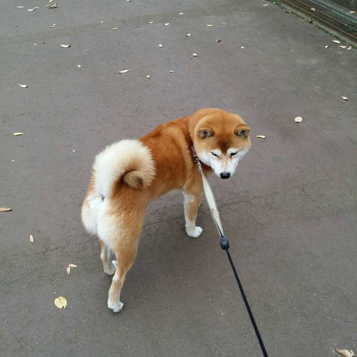 7e7c2d07 eff7 471b 8175 fe0b29176e81