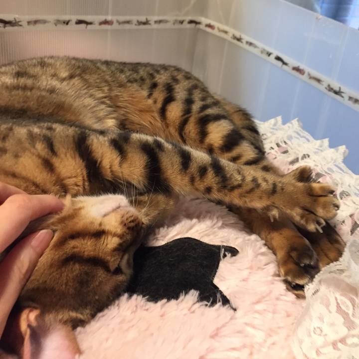 7e7c589e 4905 4d65 a4e9 f0d88cb20e2f