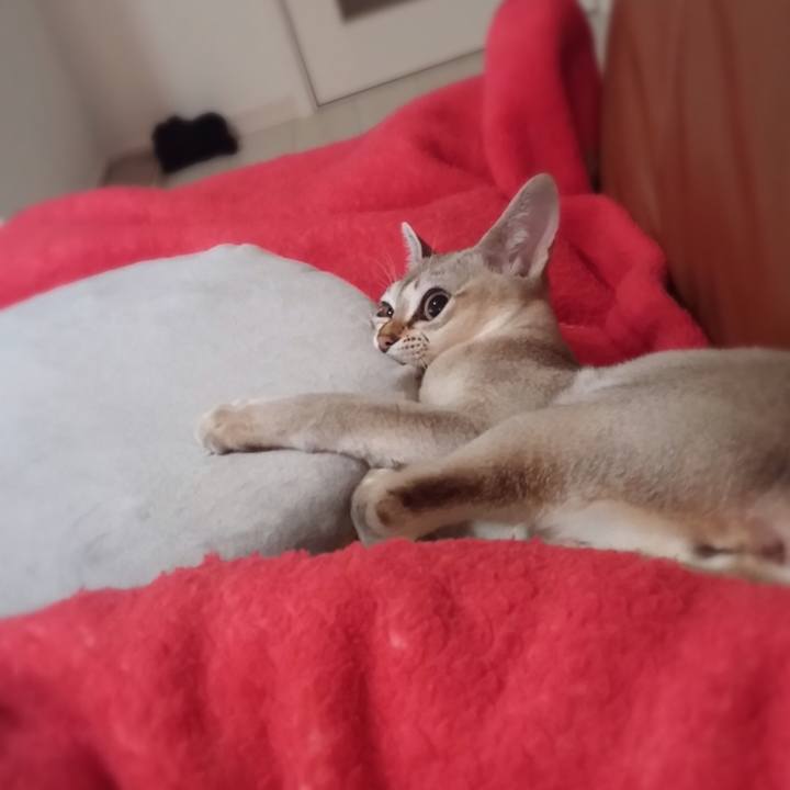 7e7d0ade 2917 48af b78e 9a840618283d