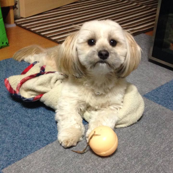 7e7d5fea b0b9 4490 90d3 69f58efeb6f8