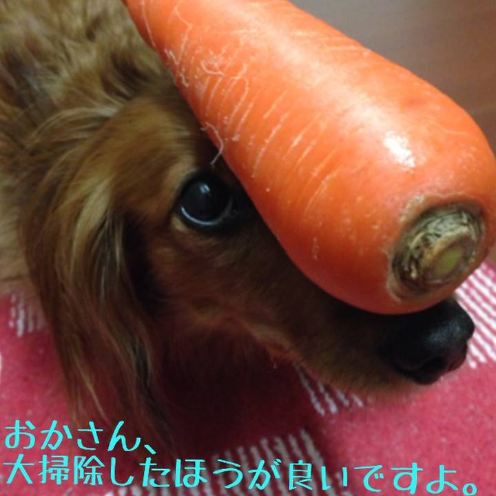 7e7dc355 c92d 4493 b8e3 3fbc43adebe8