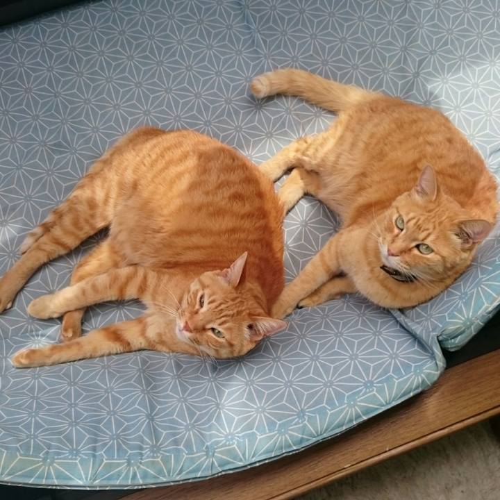 7e7e2126 ac8c 4106 a6a9 18ea4d32088e