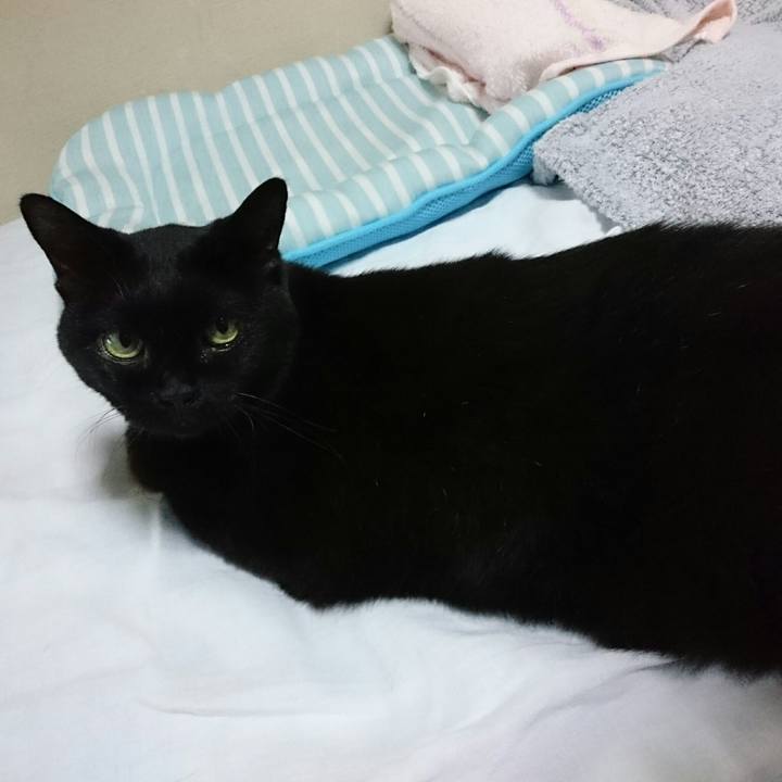 7e7eab49 ce9b 4cf7 a82e 10ed7826d167