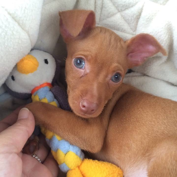 7e7ec77c 66bf 4fbe be6c 49ec21f0fa1c