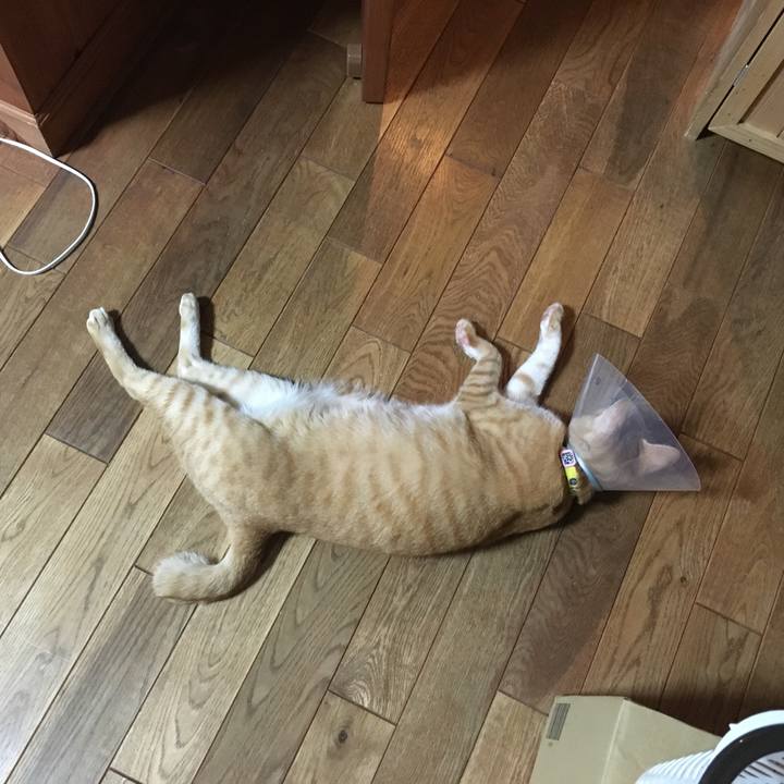 7e7f78c4 db12 46db 9db6 74fb6fe742ba