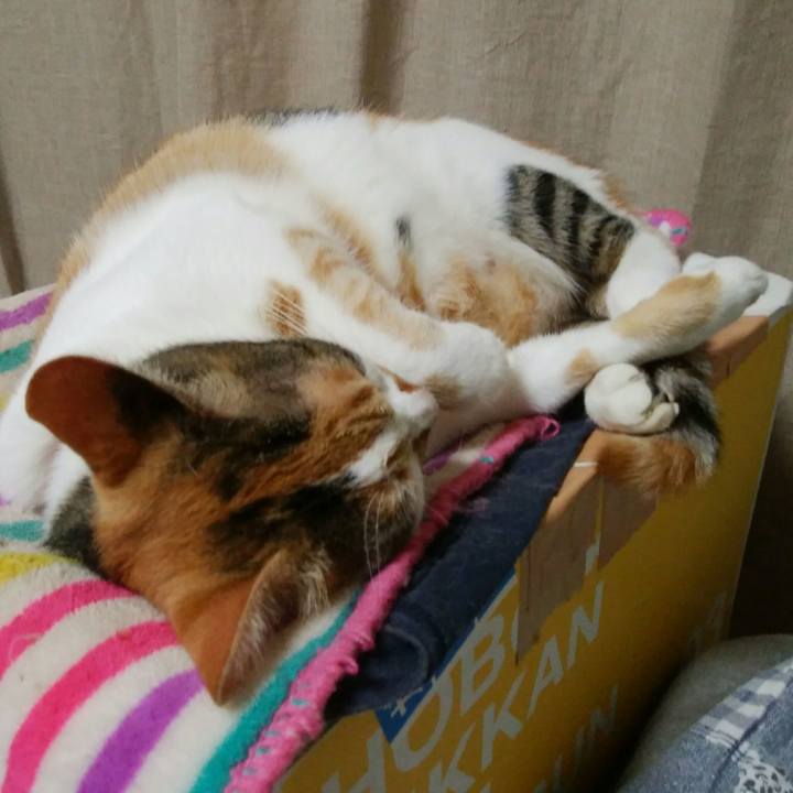 7e7f8399 57de 45b2 b089 61ee525cdca2