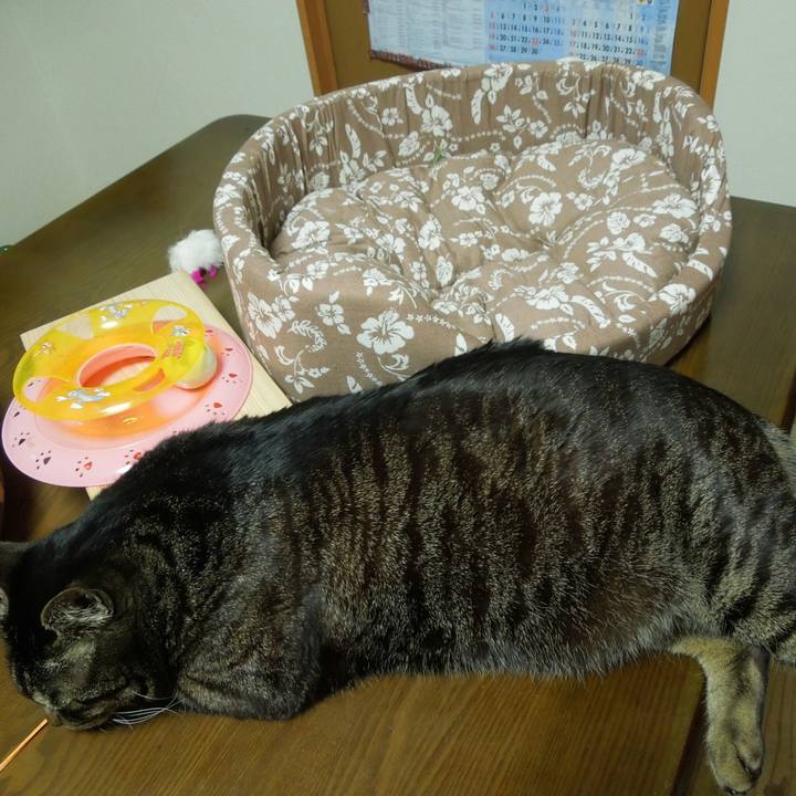 7e7f9dd6 3cfd 4018 8d67 4c36cb22bb19