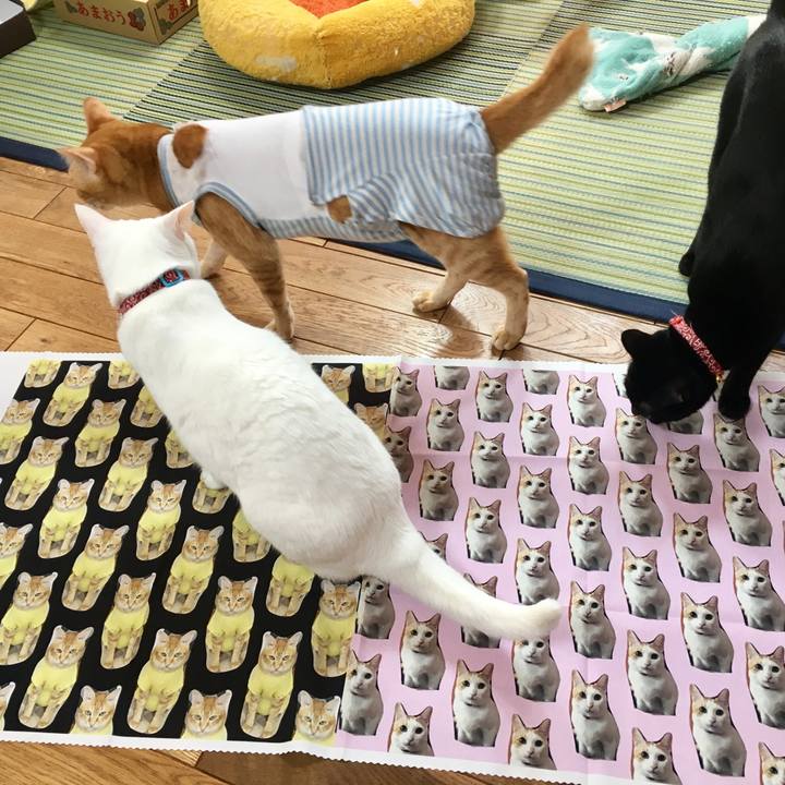 7e7fc54c 46fa 493f b0ff 3dfc5fb9c8f2