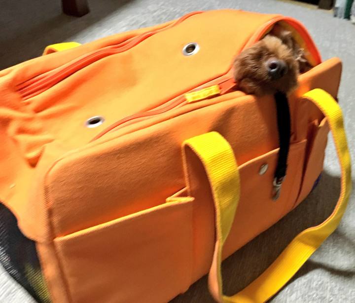 7e7ffe05 fad0 42ec 8c0c fb0a877d265a